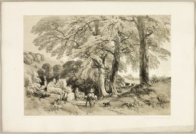 Wiąz Wych, z filmu Park i Las autorstwa James Duffield Harding