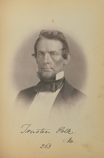 Trusten Polk autorstwa James Earle McClees