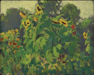 Słoneczniki, Thornhill, 1916 (olej na kompozytowej desce z pulpy drzewnej) autorstwa James Edward Hervey Macdonald