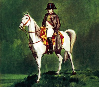 Napoleon na swojej ulubionej ładowarce "Marengo autorstwa James Edwin McConnell