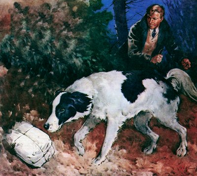 Pickles, The World Cup Dog (kolorowa litografia) autorstwa James Edwin McConnell
