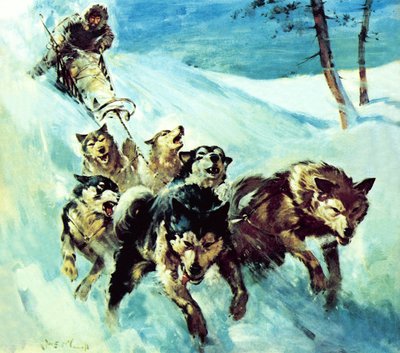 Kanadyjski husky autorstwa James Edwin McConnell