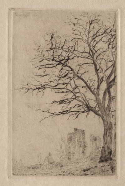 Akacja autorstwa James Ensor