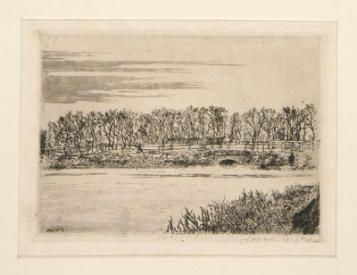 Le Pont du Bois ? Ostenda (Most w lesie w Ostendzie) autorstwa James Ensor