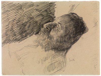 polish autorstwa James Ensor