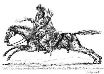 Wódz Mameluków, 1798. autorstwa James Gillray