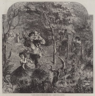Powrót do domu najkrótszą drogą autorstwa James Godwin