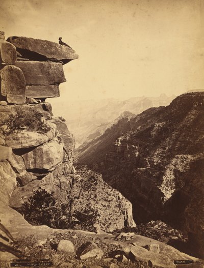 Dolina Mukuntuweap (Kanion Zion), Utah autorstwa James H. Fennemore