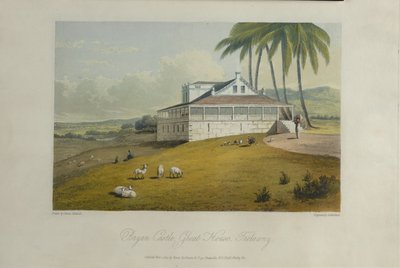 Bryan Castle, ilustracja z „Malowniczej wycieczki po wyspie Jamajka” autorstwa James Hakewill