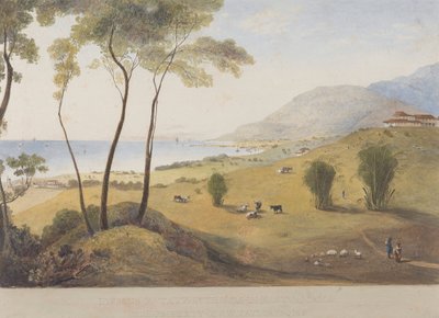 Lyssons Estate, St. Thomas in the East, Jamajka autorstwa James Hakewill