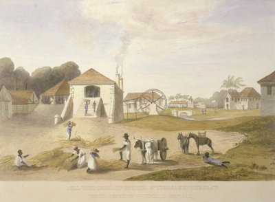 Mill Yard, Holland Estate, St. Thomas na wschodzie autorstwa James Hakewill