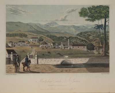 Posiadłość Montpelier, St. James