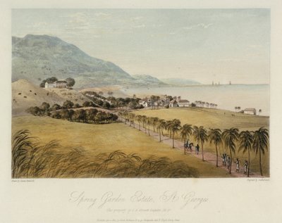 Posiadłość Spring Garden w St. George (Karaiby), należąca do I R Grosett Esquire. Kolorowa akwaforta, 1 kwietnia autorstwa James Hakewill