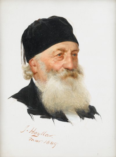 Studium brodatego dżentelmena, 1889 autorstwa James Hayllar
