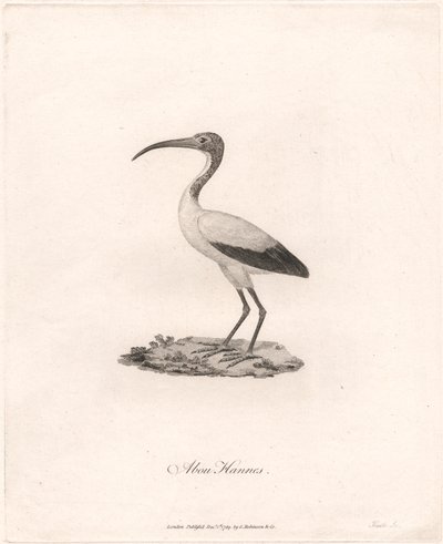 O Hannesie autorstwa James Heath