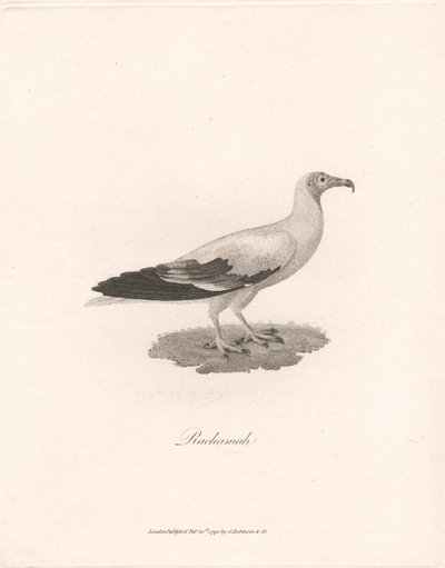 Rachama autorstwa James Heath