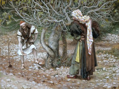 Jałowe drzewo figowe, ilustracja do Życia Chrystusa, ok. 1886-94 (toaleta i gwasz na tekturze) autorstwa James Jacques Joseph Tissot