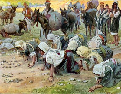 Abigail klęka przed Dawidem, Tissot – Biblia autorstwa James Jacques Joseph after Tissot