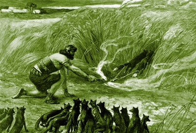 Samson i lisy J James Tissot - Biblia autorstwa James Jacques Joseph after Tissot