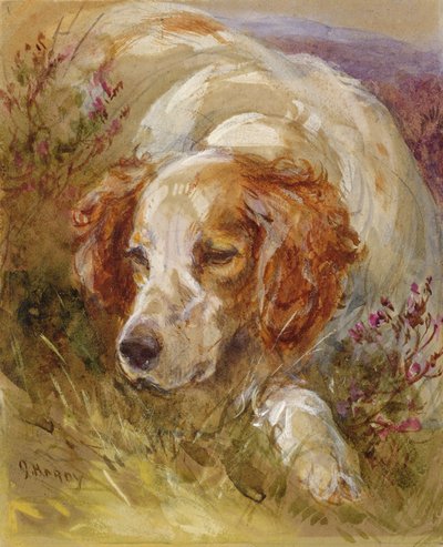 Spaniel (wc i kolor nadwozia na papierze) autorstwa James Jnr Hardy
