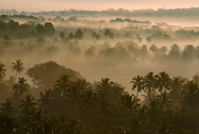 Wczesna poranna mgła nad krajobrazem starego Goa o wschodzie słońca. STARE GOA, GOA, INDIE. autorstwa James L Stanfield