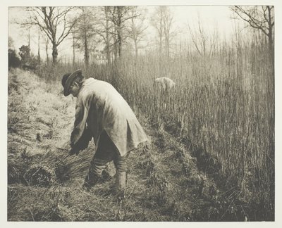 Dom i miejsca, w których mieszkał Szekspir autorstwa James Leon Williams