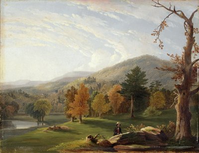 Widok wśród Helderbergów, Catskills w oddali, 1850 autorstwa James McDougal Hart