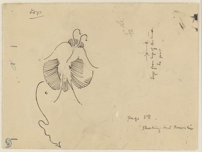 Motyl (recto); Fragment motyla (verso) autorstwa James McNeill Whistler
