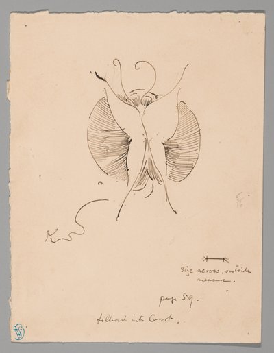 Motyl (recto); Fragment motyla (verso) autorstwa James McNeill Whistler