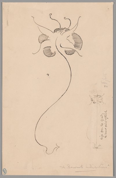 Motyl (recto); Studium motyla (verso) autorstwa James McNeill Whistler