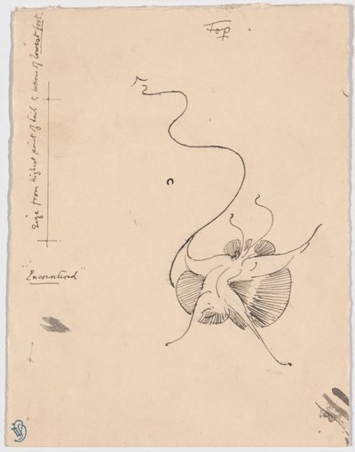 Motyl "Napotkany" (recto); Szkic końcówki (verso) autorstwa James McNeill Whistler