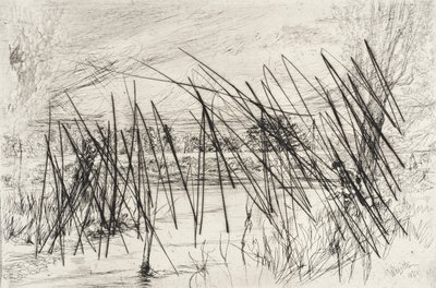  autorstwa James McNeill Whistler