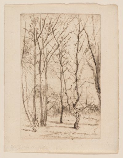 Las Tamy autorstwa James Abbott McNeill Whistler