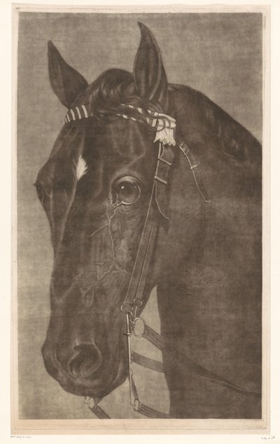 Głowa konia z uzdą autorstwa James Newman Hodges