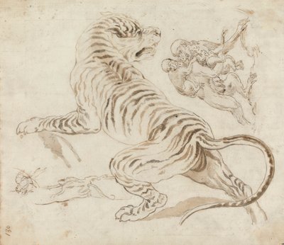 Estude para um Tiger and Monkeyspolish autorstwa James Northcote