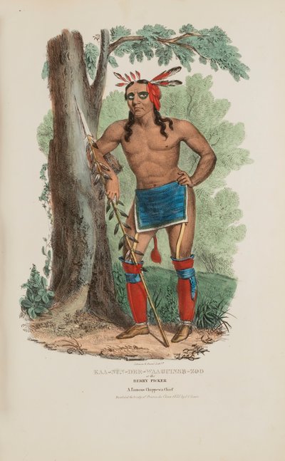 KAA-NUN-DER-WAAGUINSE-ZOO lub zbieracz jagód; słynny wódz Chippewa, z aborygeńskiego portfolio autorstwa James Otto Lewis