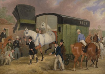 The Derby Pets: The Arrivalpolish autorstwa James Pollard