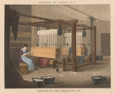 Progress of Cotton: #9 - Reeding lub wciąganie autorstwa James Richard Barfoot