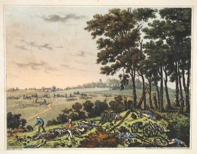Zamek Hougoumont: widok na las otaczający zamek autorstwa James Rouse