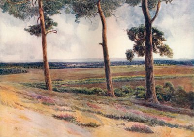 „Widok ze Staple Hill”, 1911, 1914 autorstwa James S Ogilvy