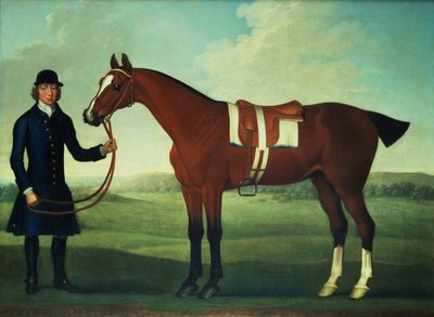 Nieznany obraz autorstwa James Seymour