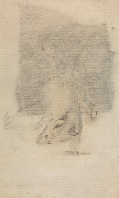 Mysz autorstwa James Sowerby