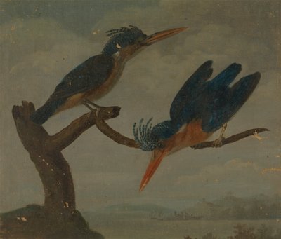 Dwa zimorodki nad jeziorem autorstwa James Sowerby