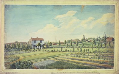 Ogrody Botaniczne Williama Curtisa, Lambeth Marsh, c.1787 (akwarela na papierze) autorstwa James Sowerby