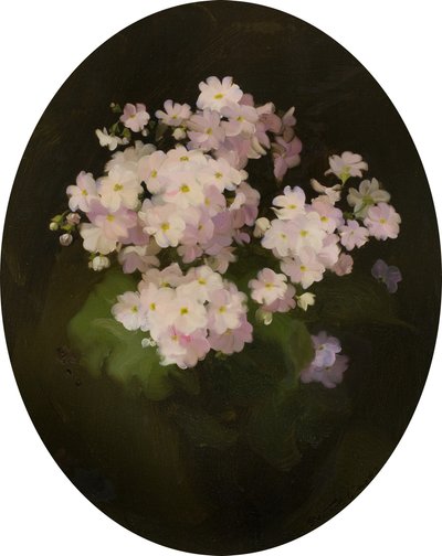 Pierwiosnki, XX w. (olej na płótnie) autorstwa James Stuart Park