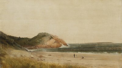 Scena na plaży (olej na płótnie) autorstwa James Suydam