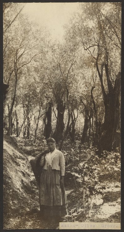 Msza - Gaj Oliwny autorstwa James W. Holcombe