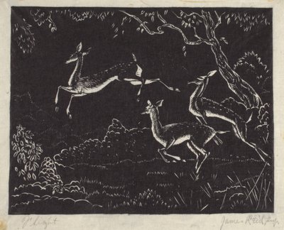 Lot (drzeworyt) autorstwa James W. Reid