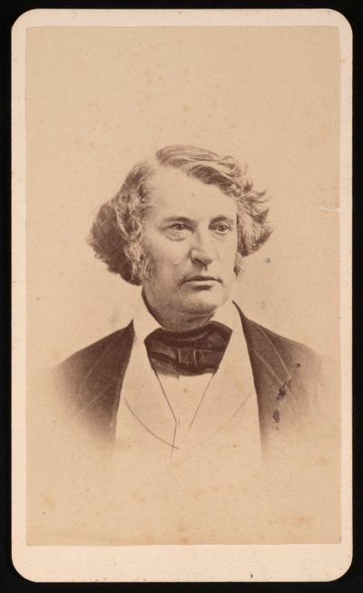 Portret Charlesa Sumnera 1811-1874, przed 1874. autorstwa James Wallace Black