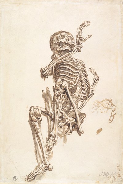A Human Skeleton (pióro i tusz do mycia i ołówek na papierze) (odbytnicy) autorstwa James Ward